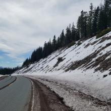 Road Cut Before Bunny