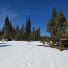 Road to Brewer Creek Trailhead - Up to 12 inches of Snow