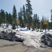 Snowmobile Access at Bunny Flat