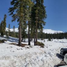 Snow Getting Thin at Bunny Flat