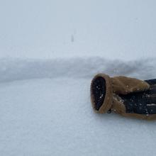 Below and Near Treeline: 5-7 cm (2-3 in) dry new snow atop smooth crust w/ poor bonding