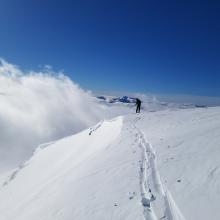 Small Cornices on Easterly Aspects