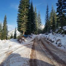 Waypoint 2 - Road plowed but not recommended due to logging truck activity.