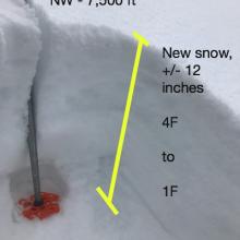 New snow profile