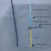 Pit dug at 8,200 feet SE Green Butte