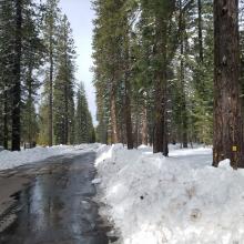 Road 19 Plowed for Logging Operations