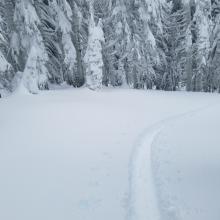 Deep surface snow, ski penetration 14-20 inches.