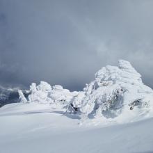 Rimed trees along ridgetops