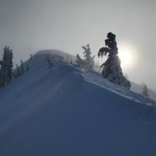 Small Cornices on Easterly Aspects - Non-reactive