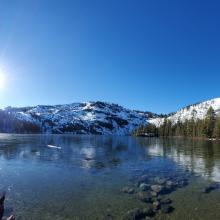 Thin layer of unsupportable ice on the lake.