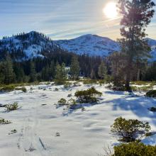 Higher elevations supporting up to 24 inches of snow, but manzanita poking through.