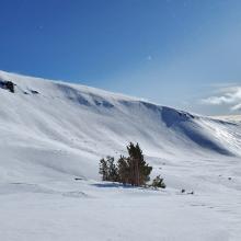 Westerly facing slopes are scoured and icy