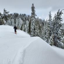 Cornices and wind drifts unreactive