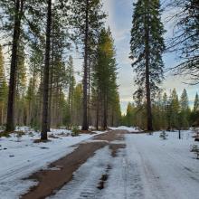 Spots of bare road