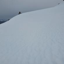 Widespread Snow Surface Texture