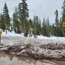Snowmobile Access at Bunny Flat