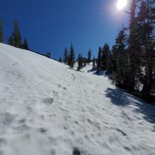 Trail to Heart Lake - Well Trodden & Compacted