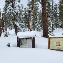 Brewer Creek Trailhead