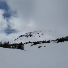 Above Treeline - Brewer Creek Trail