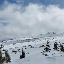 Above Treeline - Brewer Creek Trail