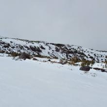 Above Treeline - Brewer Creek Trail