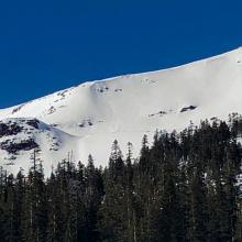 Powder Bowl natural avalanche (WL-N-R1-D1) 