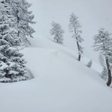 E-NE Facing Aspects - Wind Drifted Snow