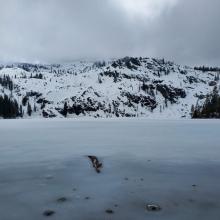 Lake Frozen, Not Supportable