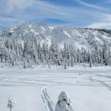 Gray Butte