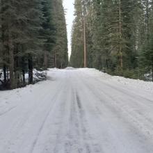 Road at Pilgrim Creek Snowmobile Park