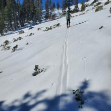 Sun softened snow in some places made for brief moments of good skiing.