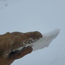 Breakable ice crust up to at least 8,400 ft