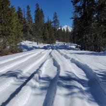 Road rutted out all the way to Gumboot