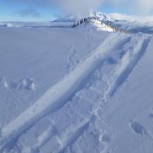 Some blocking and cracking on small test slope.