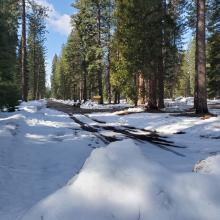 Snow on road begins at Pilgrim Creek Snowmobile Park