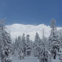 Mount Shasta After the Storm