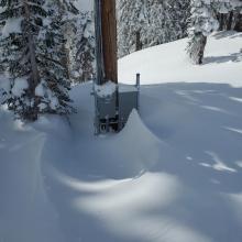 Wind drifts causing Old Ski Bowl weather station to report erroneous snow depth