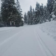 Road below Methodist Camp mostly cleared.