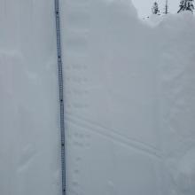Right side up snow pack (1F-4F-F) with two soft sun crusts in between. Upper 115 cm.