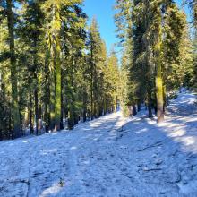 Upper Sand Flat Trail