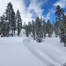 Low angle open areas holding best snow for sliding