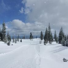 Snow showers - sometimes clear, sometimes snowing