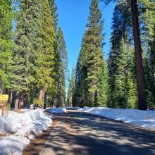 Pilgrim Creek Road