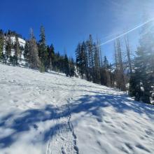 Trail to Heart Lake