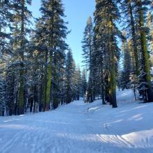 Upper Sand Flat Trail