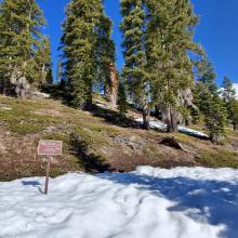 Green Butte Ridge is devoid of snow