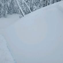 Storm slab this morning on small test slope below treeline