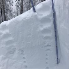 Right side up snowpack