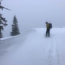 Cornices unreactive to ski cuts