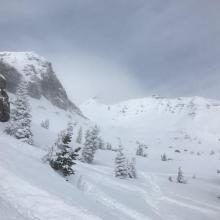 Old Ski Bowl, very deep conditions, no signs of avalanches above treeline
